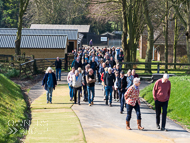 WG250322-65 - Warren Greatrex Stable Visit